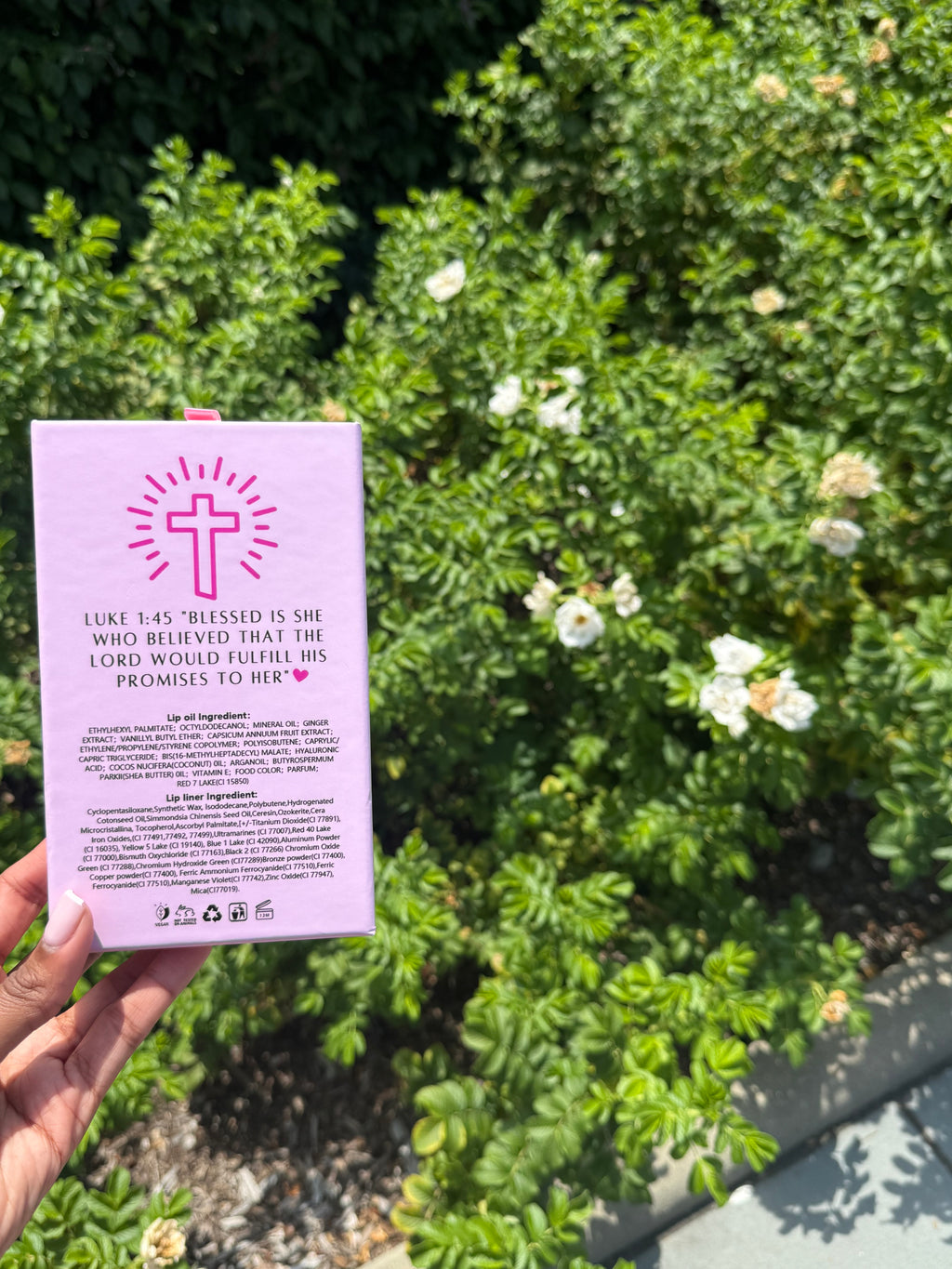 Lotus Ultra Lip Oil Kit °❀⋆.ೃ࿔