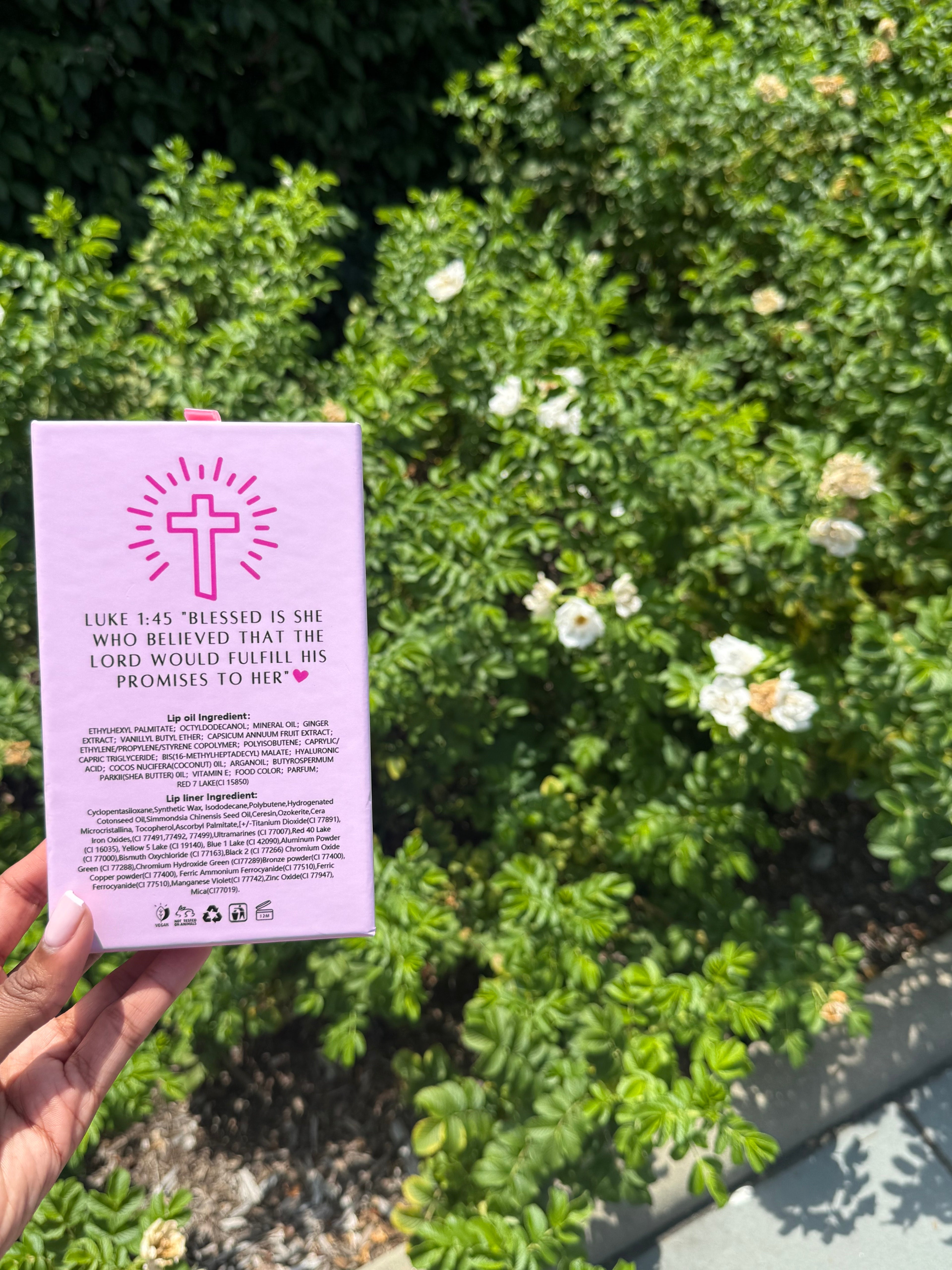 Lotus Ultra Lip Oil Kit °❀⋆.ೃ࿔