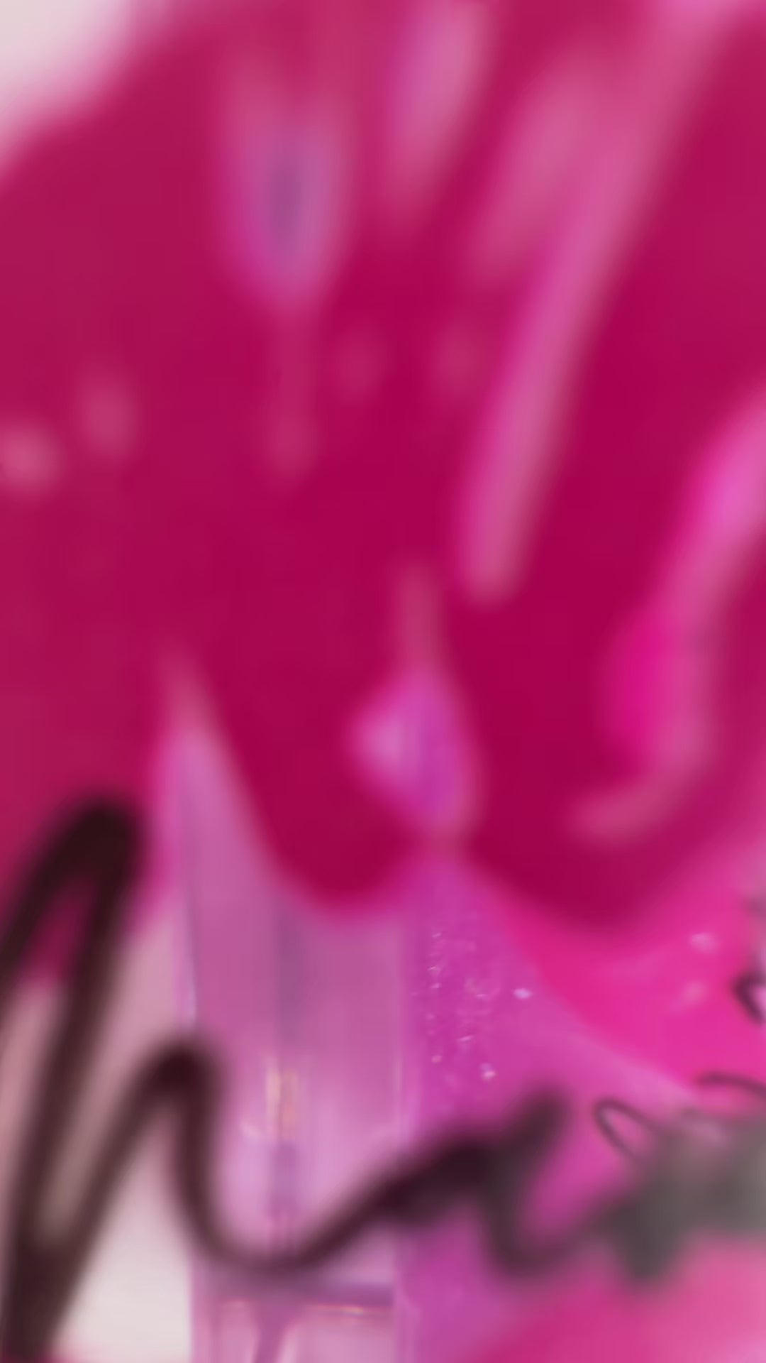 Lotus Ultra Lip Oil Kit °❀⋆.ೃ࿔